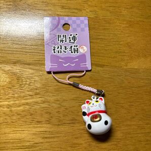 招き猫 新品