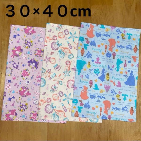 【プリンセス柄シェル柄アリス柄】30×40cm 裏地無ランチョンマット3枚 ハンドメイド