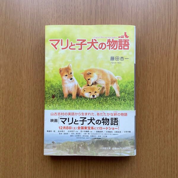 マリと子犬の物語 藤田杏一 映画 実話から生まれた温かな絆の物語 本 小学館 ノベライズ 小説 読書