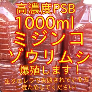 送料無料★自家培養★高濃度光合成細菌PSB1000ml+培養用エビオス錠9錠★生クロレラも出品中★