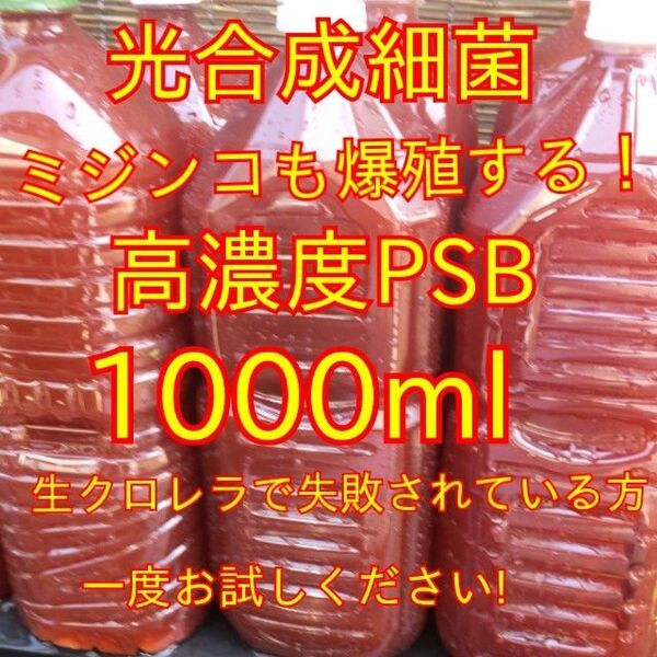 送料無料★自家培養★高濃度光合成細菌PSB1000ml+培養用エビオス錠9錠★生クロレラも出品中★