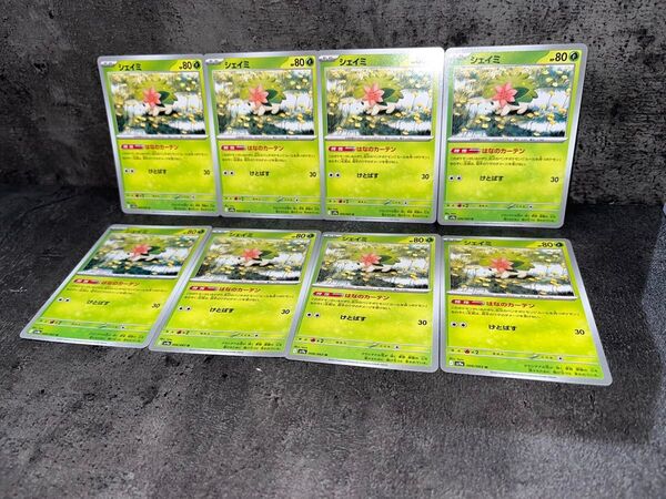SALE!! シェイミ8枚セット