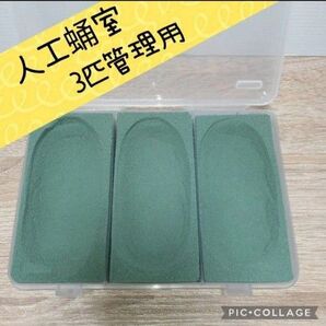 【再販SALE】1280円→1200円 人工蛹室 3匹管理 クワガタ カブトムシ