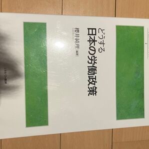 どうする日本の労働政策