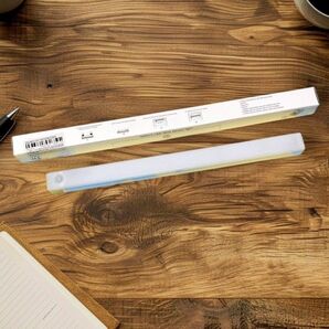 繰り返し使える!人感センサーライト×2