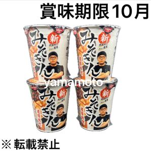 HIKAKIN PREMIUM 新みそきん 濃厚味噌ラーメン 4個セット