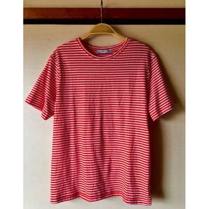 ZARA TRAFALUC Tシャツ