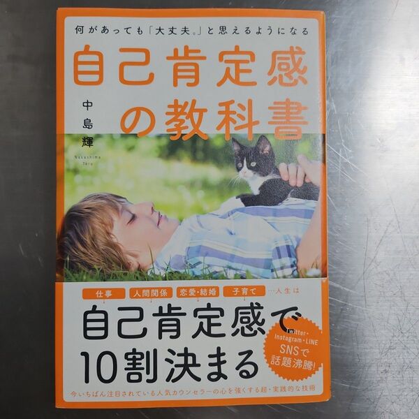 自己肯定感の教科書 中島輝 大和出版