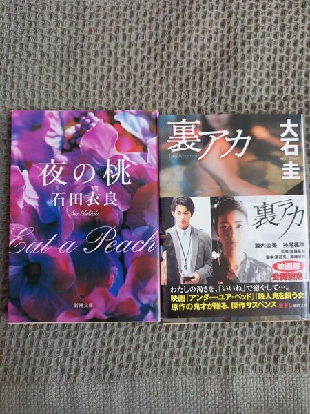 夜の桃 石田衣良 裏アカ 大石圭