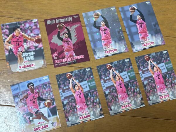 秋田ノーザンハピネッツ BBM バスケ カード ウエハースBリーグ NBA LEAGUE2024-25 BBM シークレット版