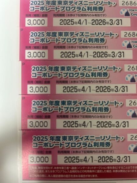 コーポレートプログラム利用券 東京ディズニーリゾート 3000円×5枚 15000円分