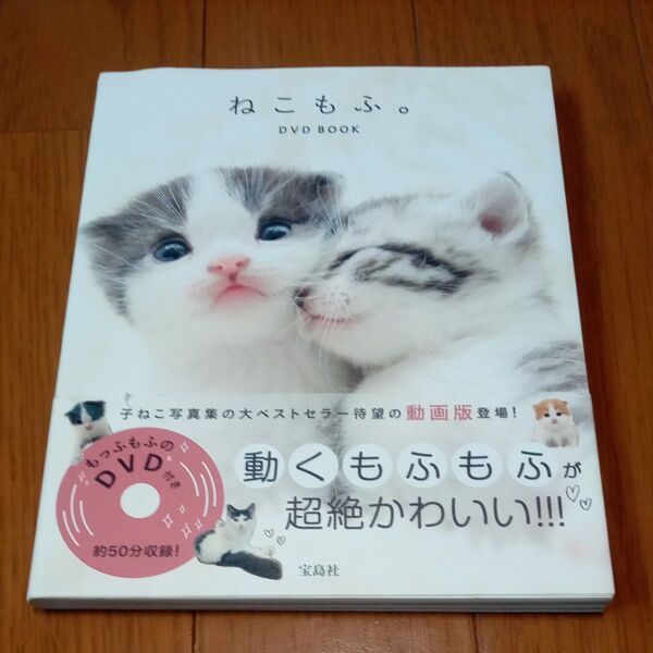写真集 ねこもふ。 DVD BOOK/宝島社