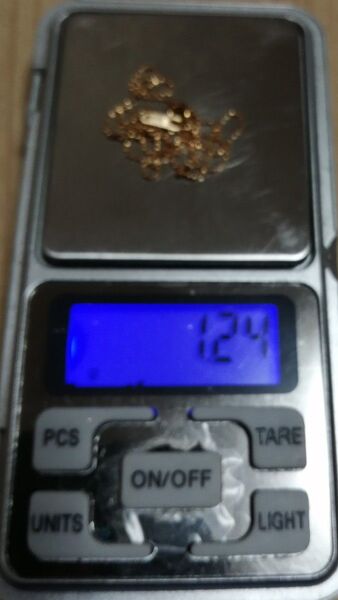 【激安!】250580 k18 約1.24g カットボール ネックレス チェーン
