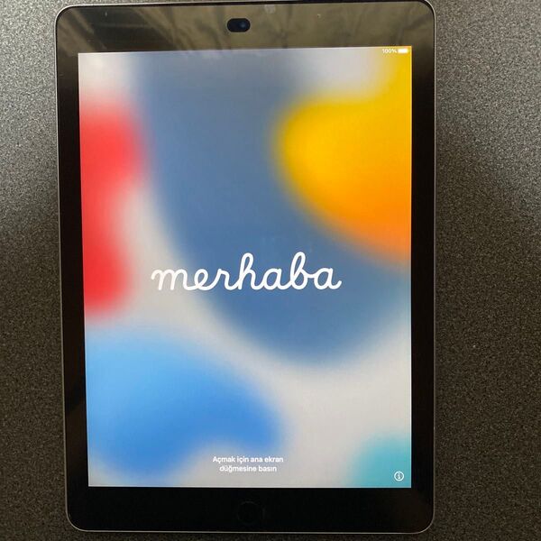 iPad air2 128gb wifi