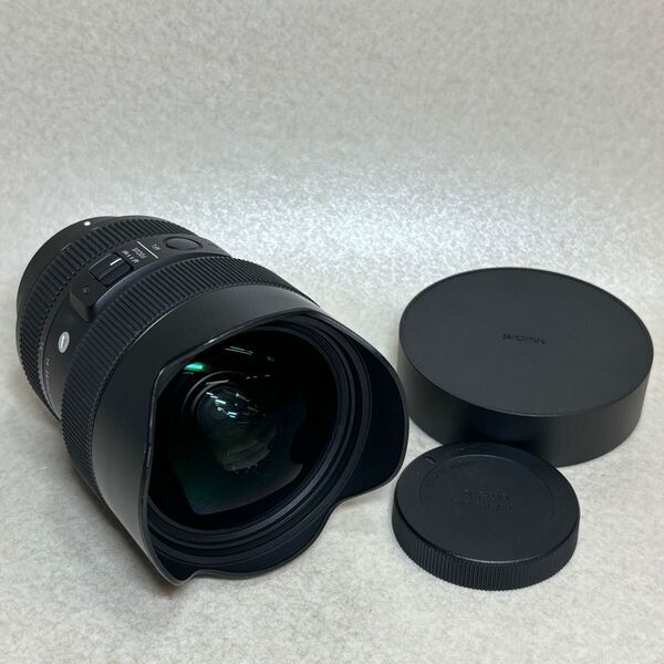 SIGMA シグマ 14-24mm 1:2.8 DG DN カメラレンズ AF動作確認済み sony feレンズ