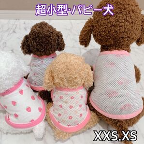 犬服 猫服 ペット服 超小型 パピー犬 春夏ふんわりメッシュタンク:XXS.XS