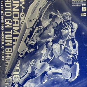 MG 1/100 ガンダムアストレア+プロトGNツインブロードブレイド