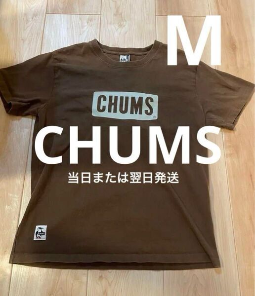 【当日または翌日発送】 チャムス CHUMS ブラウン Tシャツ Mサイズ