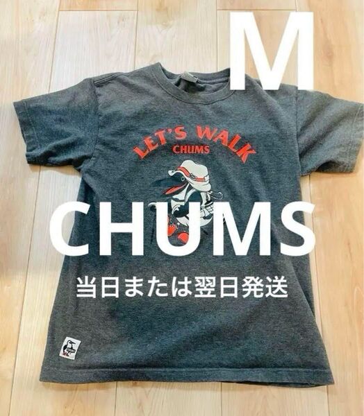 【当日または翌日発送】 チャムス CHUMS グレー Tシャツ M