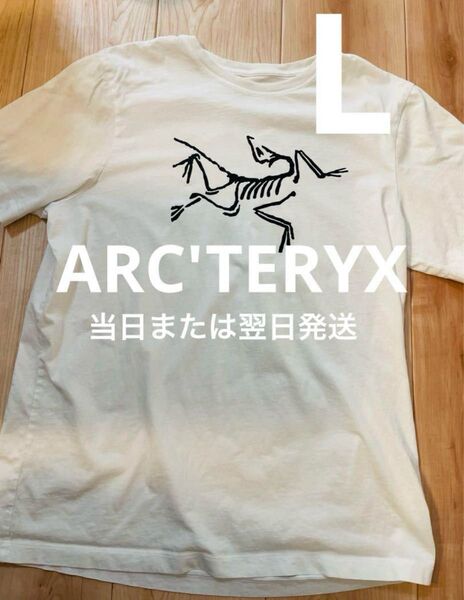 【当日または翌日発送】 アークテリクス ホワイト Tシャツ L