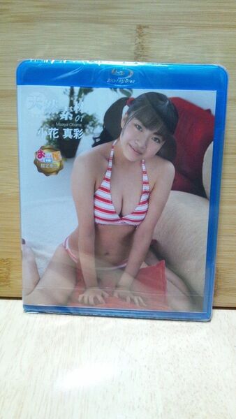 新品未開封 小花真彩 天然素材 ブルーレイ BD