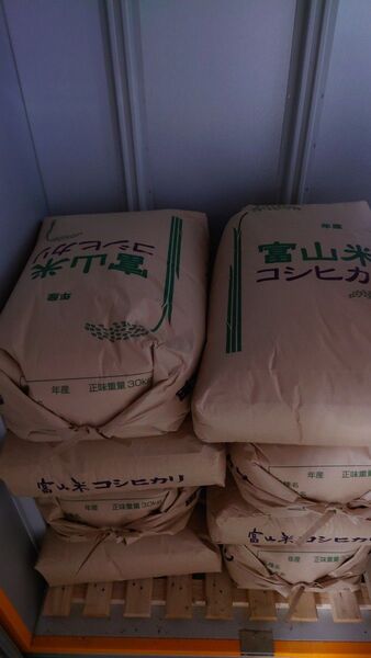 富山県 令和6年産 コシヒカリ 保冷庫 保管 無洗米仕上げ
