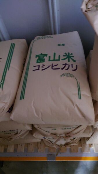 【富山県 農家直送】令和6年産 保冷庫保管 コシヒカリ 無洗米仕上げ