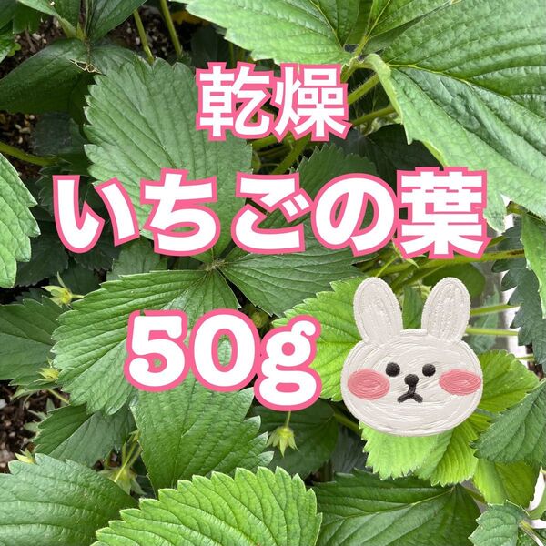 乾燥いちごの葉っぱ 50g