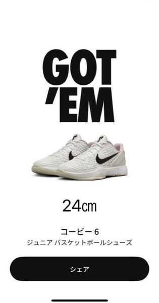 NIKEコービー6オールスター ジュニアバスケットボールシューズ24㎝