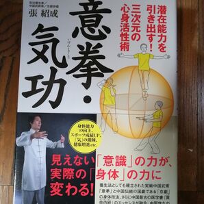 気功・意拳 張紹成 BABジャパン