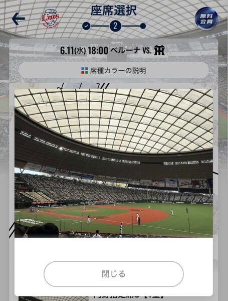 6月11日 西武ライオンズ対阪神タイガース ベルーナドーム 内野指定席S 2枚連番 112ブロック10段付近ペアチケット
