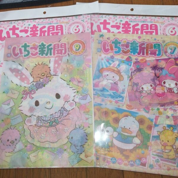 いちご新聞 2025年 6月号 クリアファイル メル サマー サンリオ