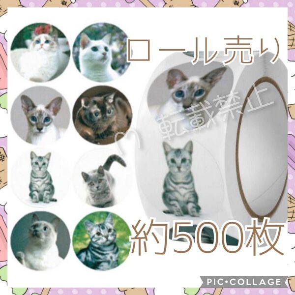 ギフトシール 約500枚 ロール売り 29 猫 キャット 実写 ありがとうシール ネコ