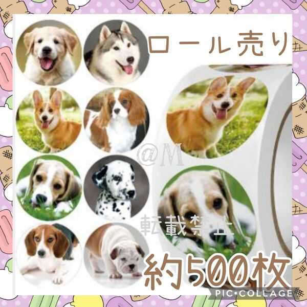 ギフトシール 約500枚 ロール売り 67 犬 ドッグ ありがとうシール イヌ ペット ごほうびシール