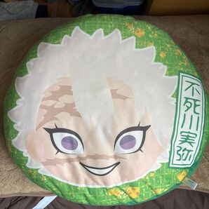 クッション二つセット