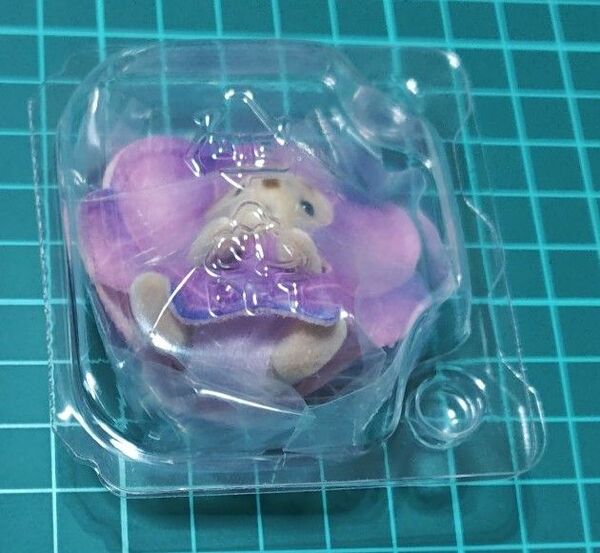 E シマネコの赤ちゃん(おすわり) どきどきコレクション -赤ちゃんゆめいろマリン- シルバニア