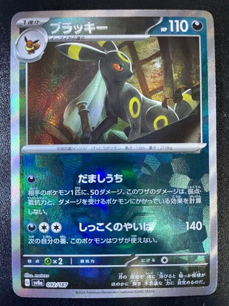 ブラッキー マスターボールミラー テラスタルフェスex