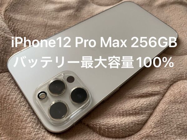 12時まで値下げ・バッテリー100%!iPhone12 Pro Max 256GB シルバー