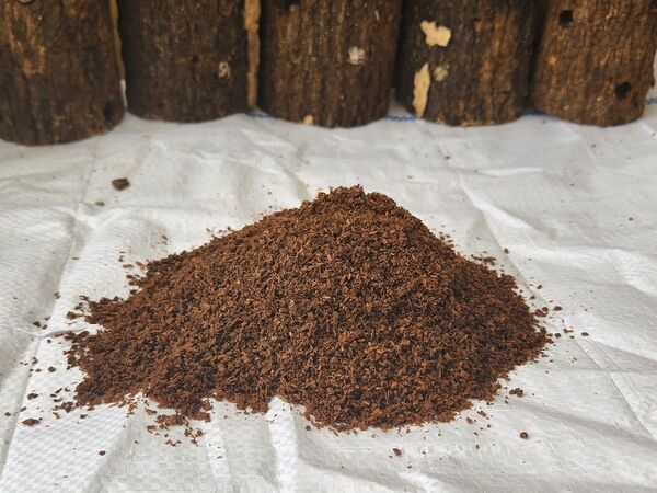 クワガタ幼虫飼育専用マット20リットル(10リットル袋×2入)大きく安全に育ちます