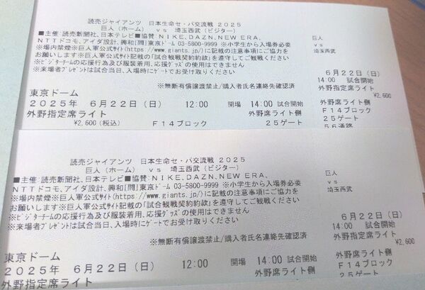 6/22 巨人 読売ジャイアンツvs埼玉西武ライオンズ チケット 2枚ペア 東京ドーム 外野ライト