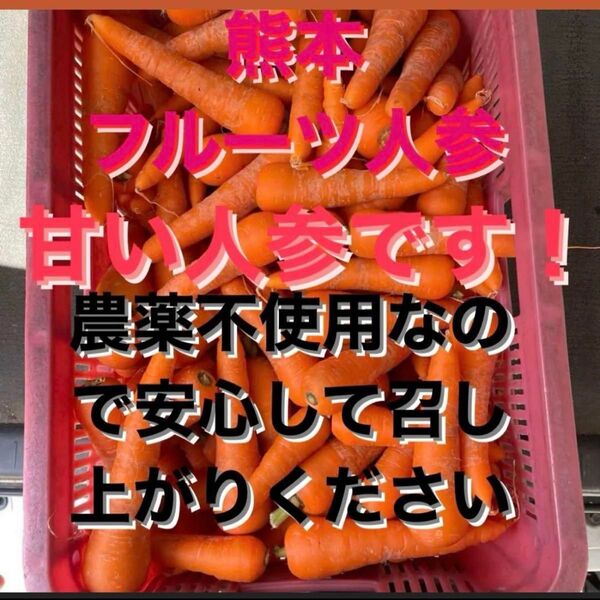 今年ラスト 無農薬 熊本産 人参 箱込み20キロ にんじん