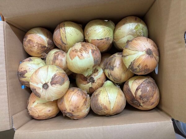 A品 農薬不使用 新玉ねぎ 約10キロほど