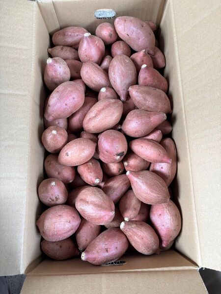 希少農薬不使用熟成安納芋「さつまいも」SSからSサイズ箱込み約4.5キロ程