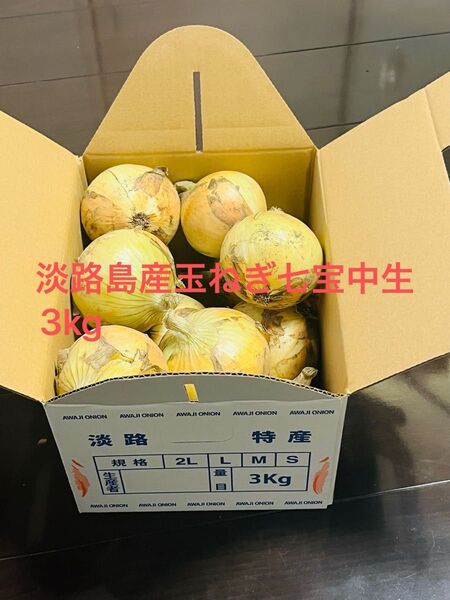 淡路島産新玉ねぎ七宝中生3kg 農家直送
