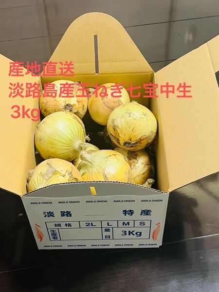 淡路島産新玉ねぎ七宝中生3kg 農家直送
