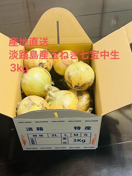 淡路島産熟成新玉ねぎ七宝中生3kg 農家直送