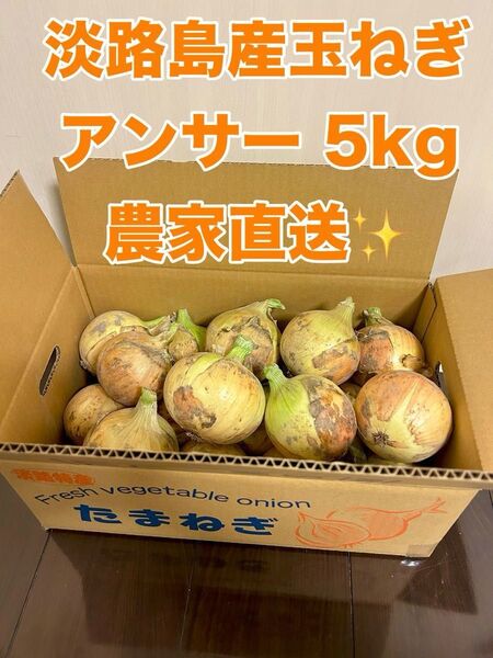 淡路島産熟成新玉ねぎアンサー中生5kg 農家直送
