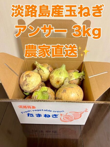 淡路島産熟成新玉ねぎアンサー中生3kg 農家直送