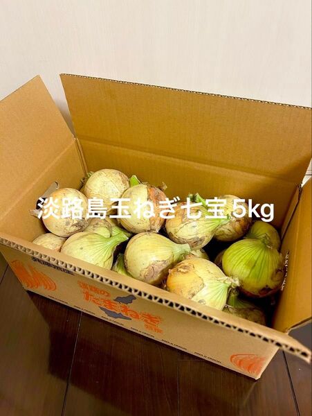淡路島産新玉ねぎ七宝5Kg農家直送