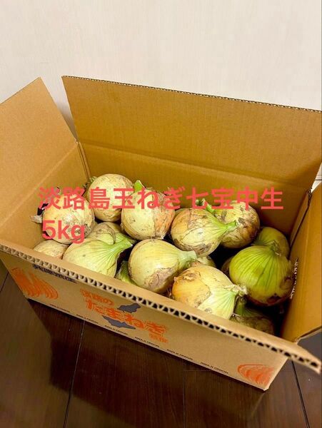 淡路島産玉ねぎ七宝中生5Kg農家直送